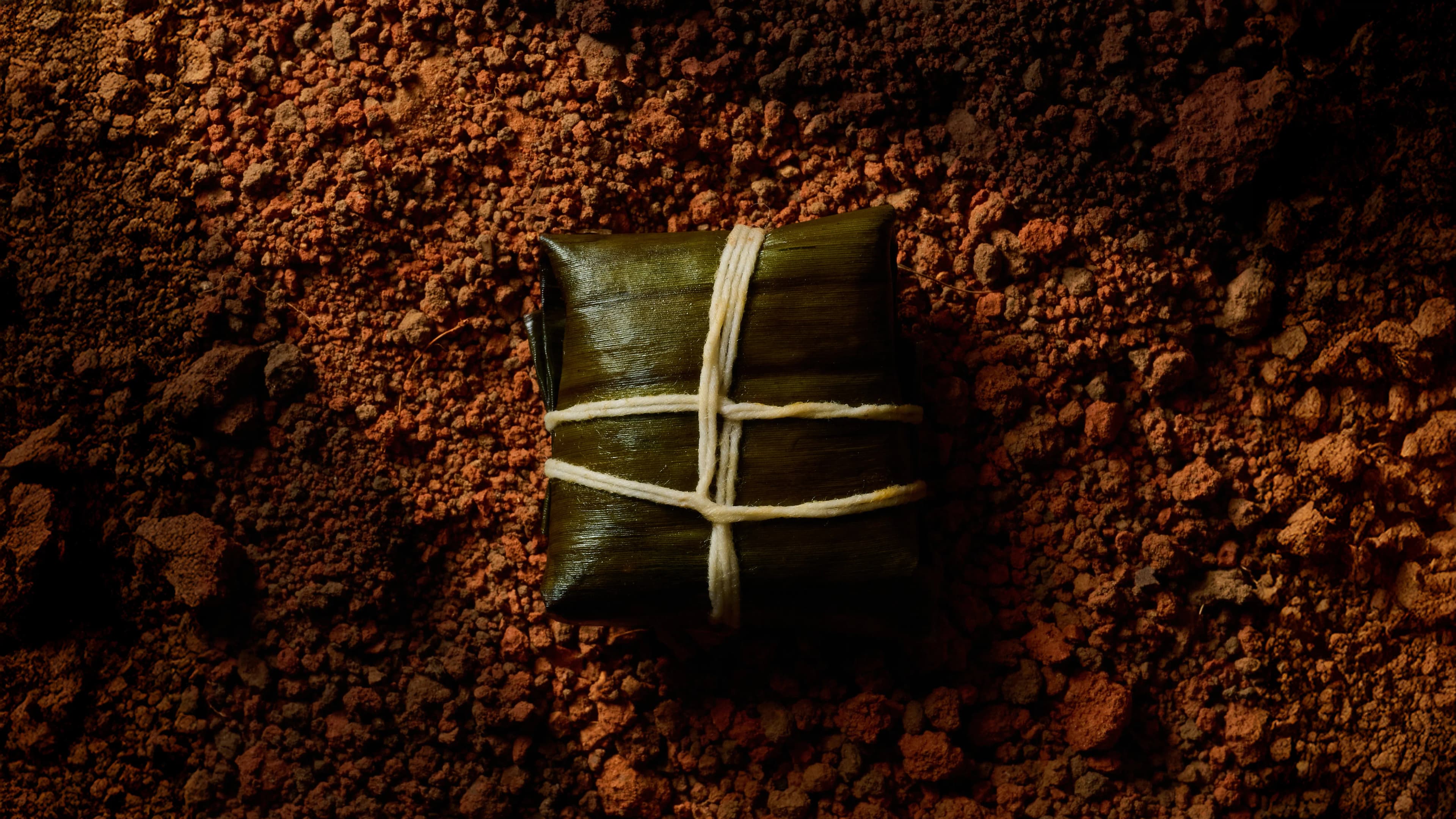 Homepage image - Tamal